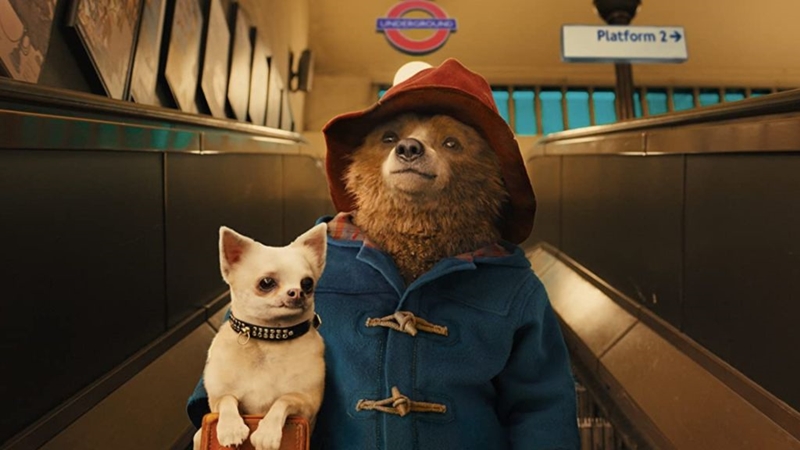 Paddington 3 İçin Çalışmalar Resmen Başladı 1 Paddington 3 filmi