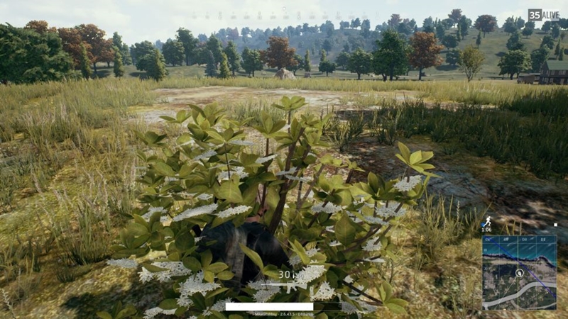 PUBG’de Hayatta Kalmanın 8 Püf Noktası 6 PUBG çalılarda saklanma