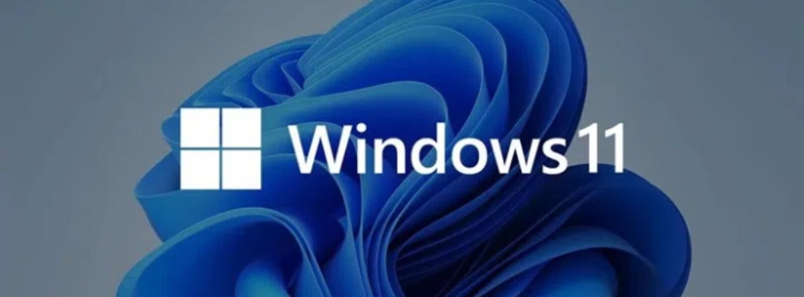 Windows 11 Tanıtıldı Haberleri