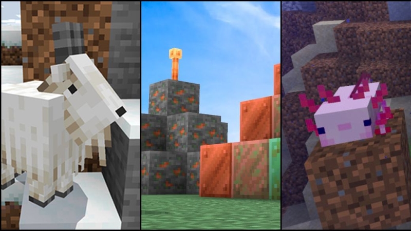 Minecraft 1.17.1