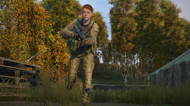 DayZ 1.15