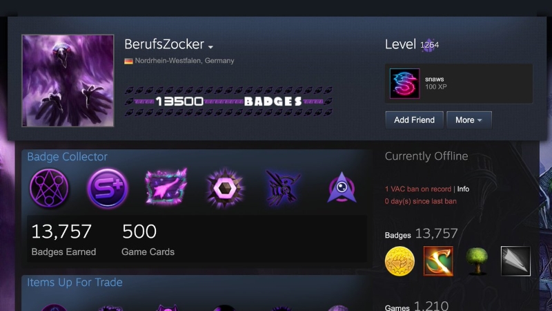 Steam Level Atlamanın 5 Kolay Yolu 3 Steam Level Atlama