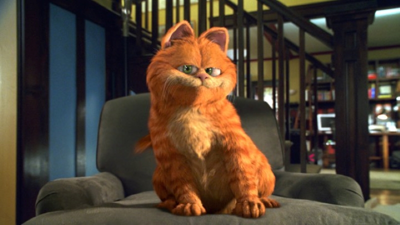 Garfield Oyunu