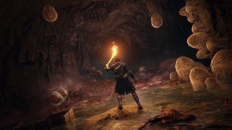 Demon’s Souls Remake, Elden Ring Ekibinde Baskı Yaratmış 1 elden ring çıkış tarihi