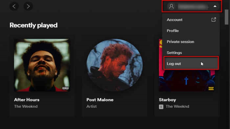 Spotify İnternet Bağlantısı Yok Hatası Çözümü 2 Spotify İnternet Bağlantısı Yok Hatası
