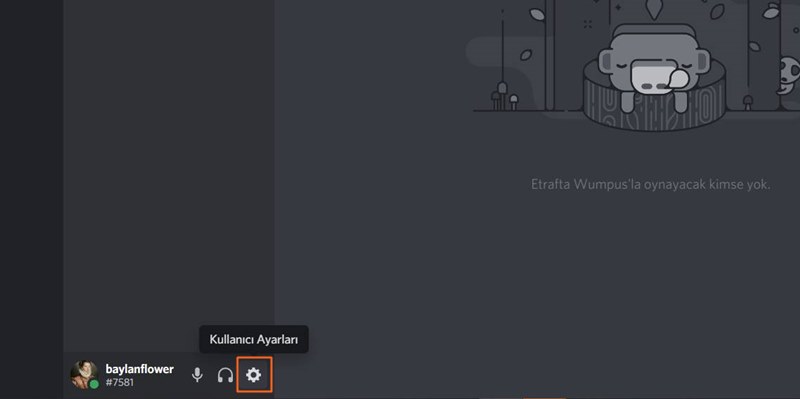 Discord Ne Kadar İnternet Yer? Veri Kullanımını Azaltmanın Yolları 3 discord ne kadar internet yer 1