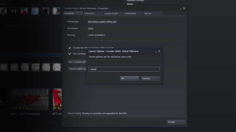 CS GO Başlatma Seçenekleri Rehberi 2022 3 CS GO Başlatma Seçenekleri