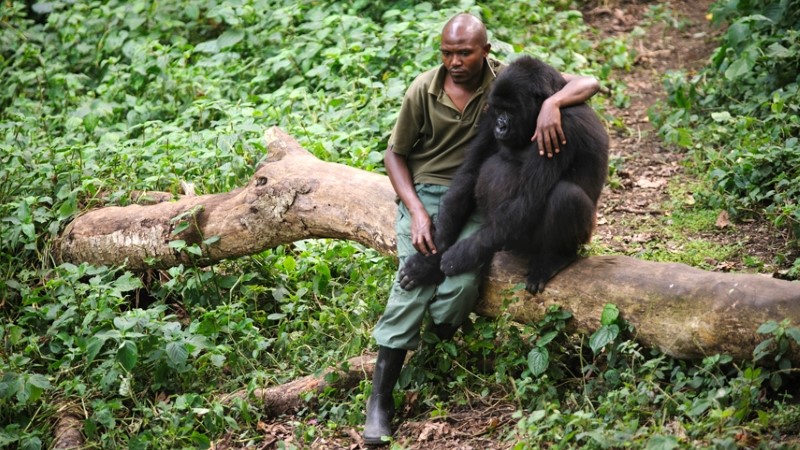 Netflix Savaş Filmleri: Mutlaka İzlemeniz Gereken 10 Yapım 10 Virunga
