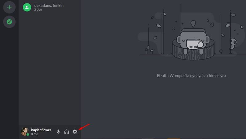 Discord Arka Planı Nasıl Değiştirilir? 5 discord kullanıcı ayarları