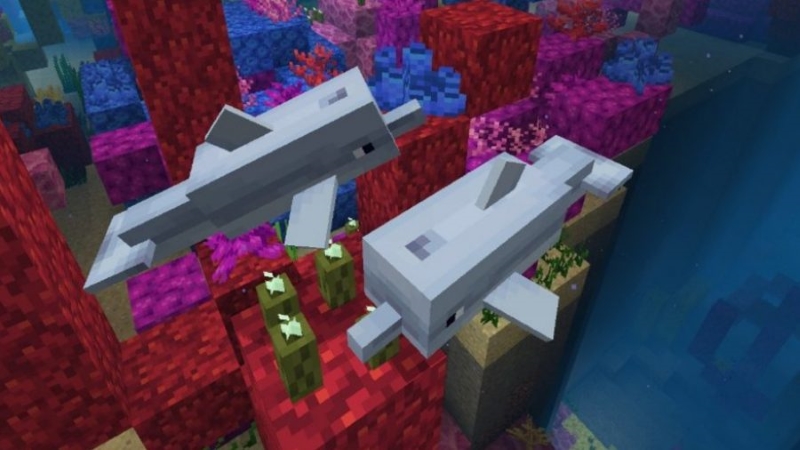 Minecraft Canavarları İsimleri (Yaratık Kaldırma Kodu) 3 Minecraft Canavarları İsimleri