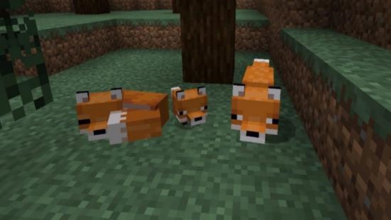 Minecraft Canavarları İsimleri (Yaratık Kaldırma Kodu) 1 Minecraft Canavarları İsimleri