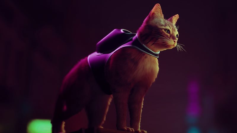 PS Plus Extra ve Deluxe Katmanlarına 17 Yeni Oyun Ekleniyor! 2 stray ps plus