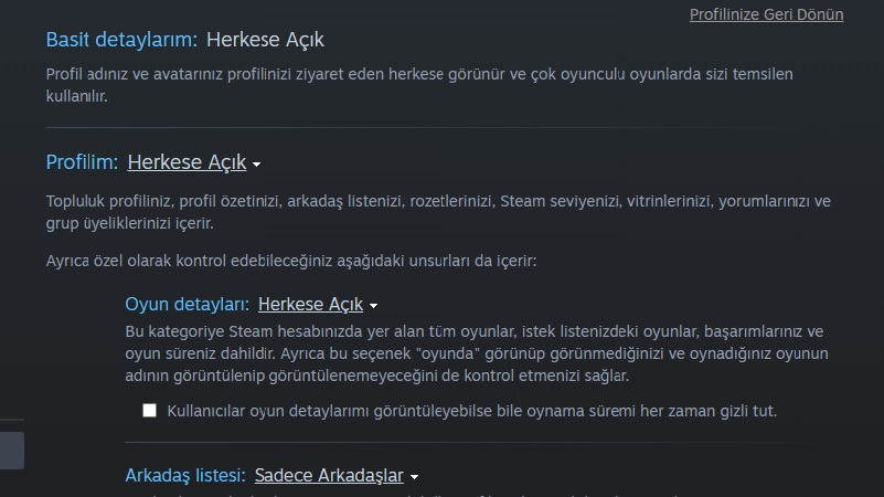 Steam Hesap Değeri Hesaplama Nasıl Yapılır? 2 Steam Heasp Değeri