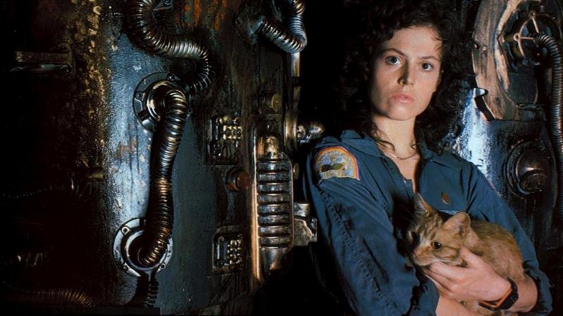 Alien Filmleri İzleme Sırası (Kronolojik ve Çıkış Tarihi) 6 alien filmleri izleme sırası kronolojik