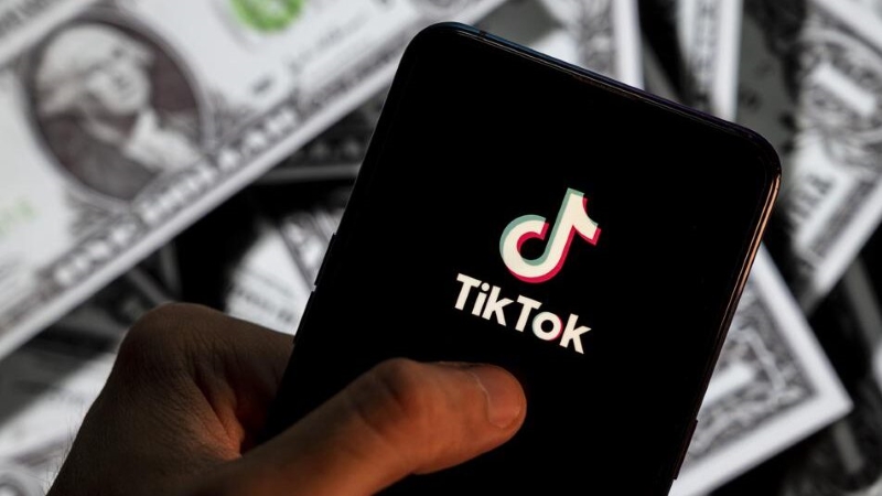 TikTok Ne Zaman Para Verir?