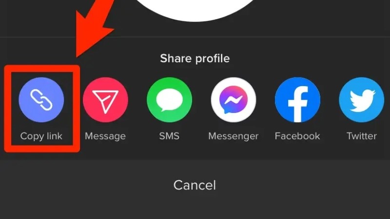 TikTok Profil Fotoğrafı Büyütme Nasıl Yapılır? 1 TikTok Profil Fotoğrafı Büyütme