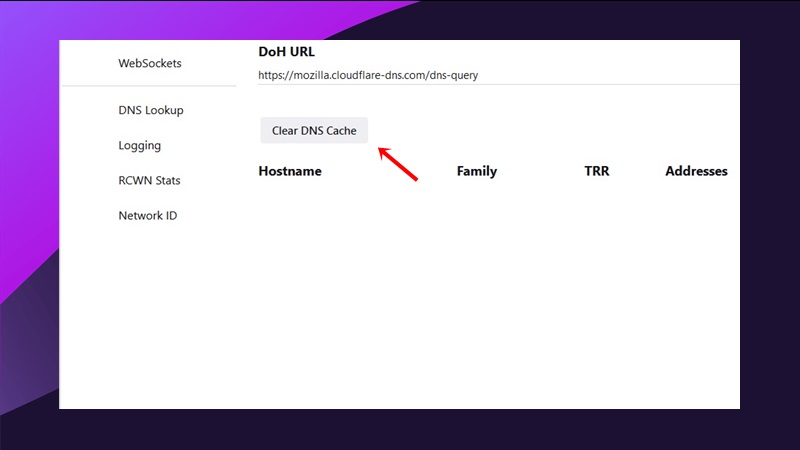 DNS Önbellek Temizleme: Windows, Chrome, Firefox ve Safari 3 chrome net internals dns