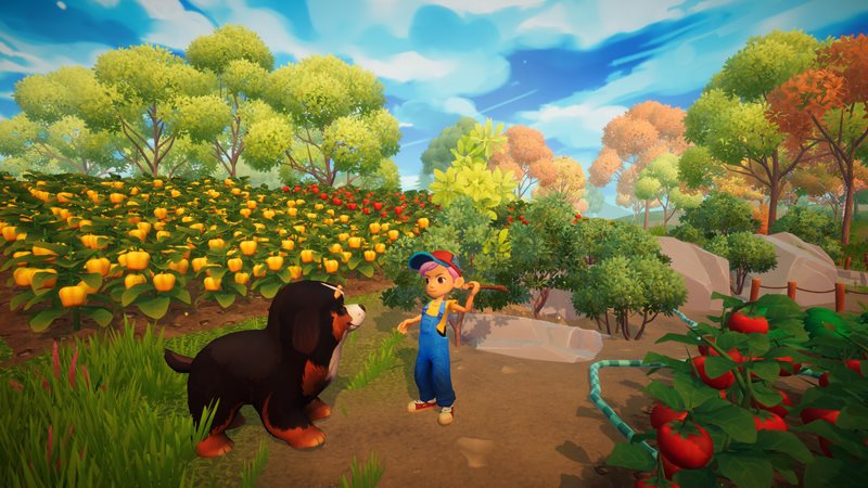 Everdream Valley steam
