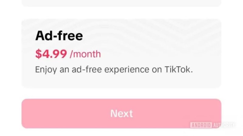 TikTok Reklamsız Abonelik Üzerinde Çalışıyor 1 TikTok Reklamsız Abonelik Üzerinde Çalışıyor
