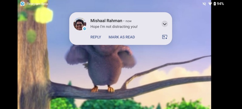 Android 15 to Introduce Compact Heads-Up Notifications 1 Android 15 to Introduce Compact Heads-Up Notifications